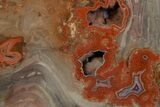 Polished Devil's Red Agate Slab - TeePee Canyon, South Dakota #373413-3